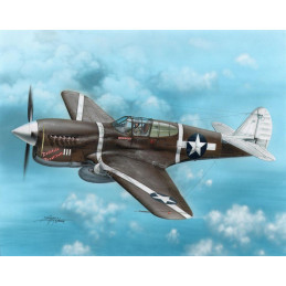 Special Hobby  1/72   P-40F...